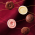 瓜納拉鈕釦巧克力禮盒6顆